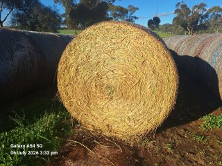 hay and grain 5